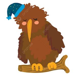 спящая птица киви вектор  цветная иллюстрация PNG , спать, дикой природы, киви PNG картинки и пнг рисунок для й загрузки