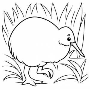 Анимированная раскраска киви