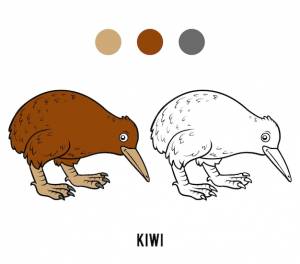 Книжка-раскраска для детей, киви