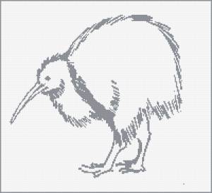 Птица киви раскраска