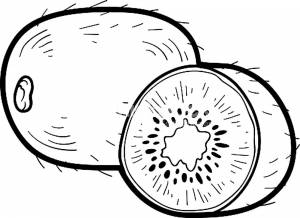 Раскраска Киви