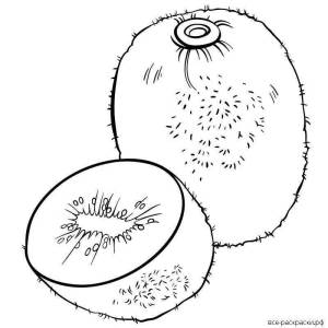 Киви рисунок для детей