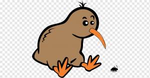 Рисунок киви, птица, животные, компания, позвоночные png