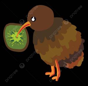 коричневая птица киви ест киви PNG , киви, Inc, иллюстрация PNG картинки и пнг рисунок для й загрузки