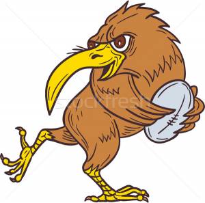 киви · птица · работает · мяч · для · регби · рисунок · эскиз