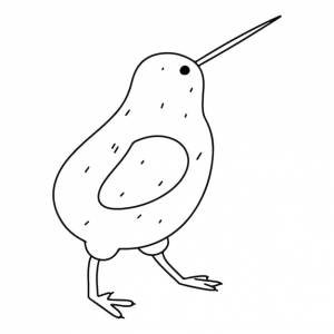 Симпатичная птица киви, нарисованная вручную в стиле каракулей