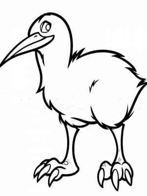 Раскраска птица Киви   в формате