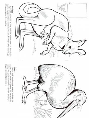 Картинка Австралия  в формате