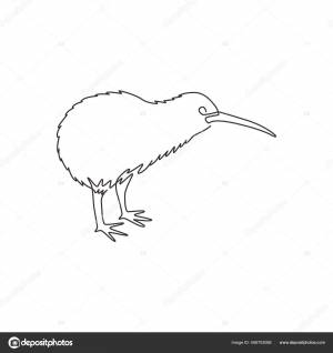 Одна Сплошная Линия Рисования Маленькой Птицы Киви Идентификации Городского Зоопарка Векторное изображение ©SimpleLine 406703088