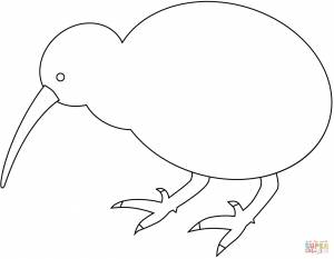 Раскраска Киви птица