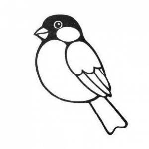 Снегирь птичка раскраска