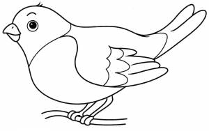 Раскраска Милый снегирь