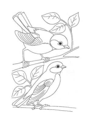 Раскраска Снегирь