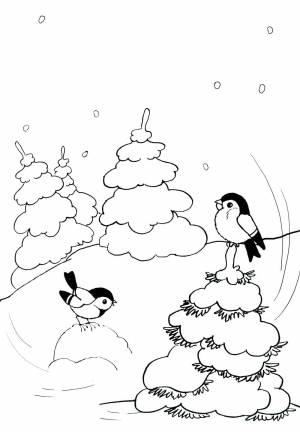 Раскраска снегири зимой