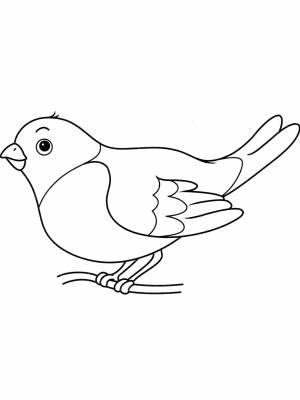 Раскраска Снегирь   в формате