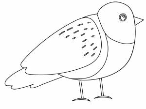 Птица Снегирь