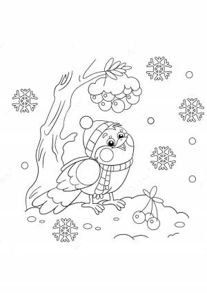 Раскраски, Картинка снегирь