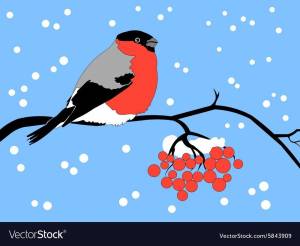 Снегирь на ветке рябины рисунок