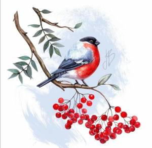Снегирь на ветке рябины рисунок