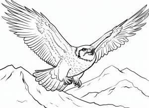 Раскраска Сапсан Сокол для детей 3, 4, 5, 6, 7, 8 лет