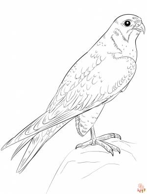 Наслаждайтесь раскрашиванием с Falcon Coloring Pages
