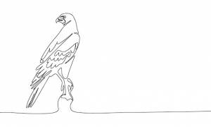 El halcón está sentado aislado sobre fondo blanco línea arte halcón pájaro una línea continua vector