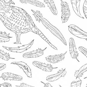 Фазан птица перья куропатка графическая иллюстрация рисованная книжка- раскраска для детей