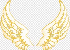 Книжка-раскраска Butterfly Wing Paper, бабочка, ребенок, крылья png