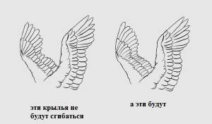 Гид по рисованию крыльев