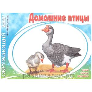 Книга-раскраска Домашние птицы