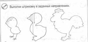 К лексической теме Домашние птицы