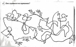 Лексическая тема домашние птицы