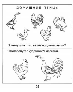 Домашние птицы для дома