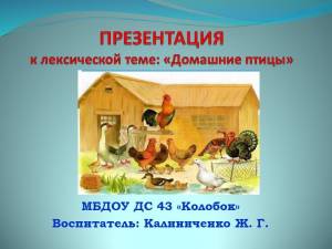 Презентация к лексической теме Домашние птицы в средней логопедической группе Ромашка