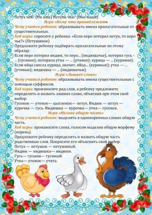 ЛЕКСИЧЕСКАЯ ТЕМА ДОМАШНИЕ ПТИЦЫ