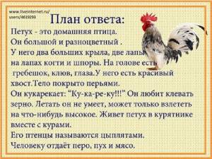 РАЗВИТИЕ РЕЧИ