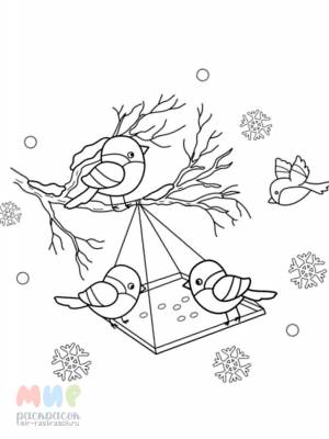 Раскраска Кормушка для птиц Часть 1