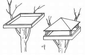 Раскраски Кормушка для птиц
