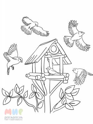 Раскраска Кормушка для птиц Часть 1