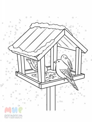 Раскраска Кормушка для птиц Часть 1