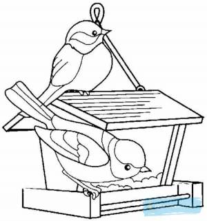 Синичка картинка раскраска