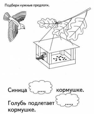 Раскраски Кормушка для птиц