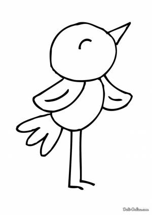 Раскраска Птенец