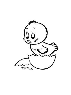 Раскраски Птенец