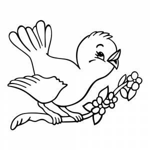 Раскраска Птенец поет песенку