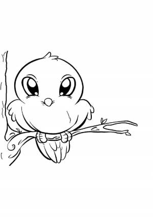 Раскраски, Птенец на ветке