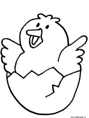Раскраски Раскраска Птенец в яйце