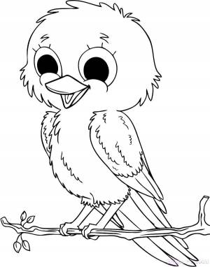 Раскраски Раскраска Птенец птицы