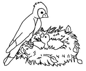 Раскраски Раскраска Птица кормит птенчика 