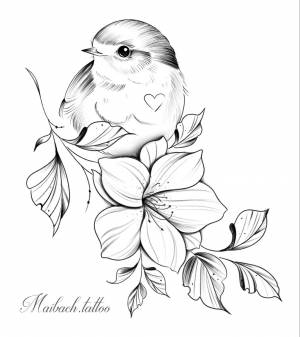 Картинка птичка раскраска